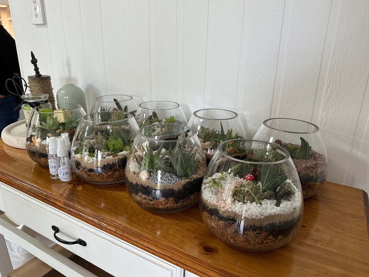 Terrarium workshop