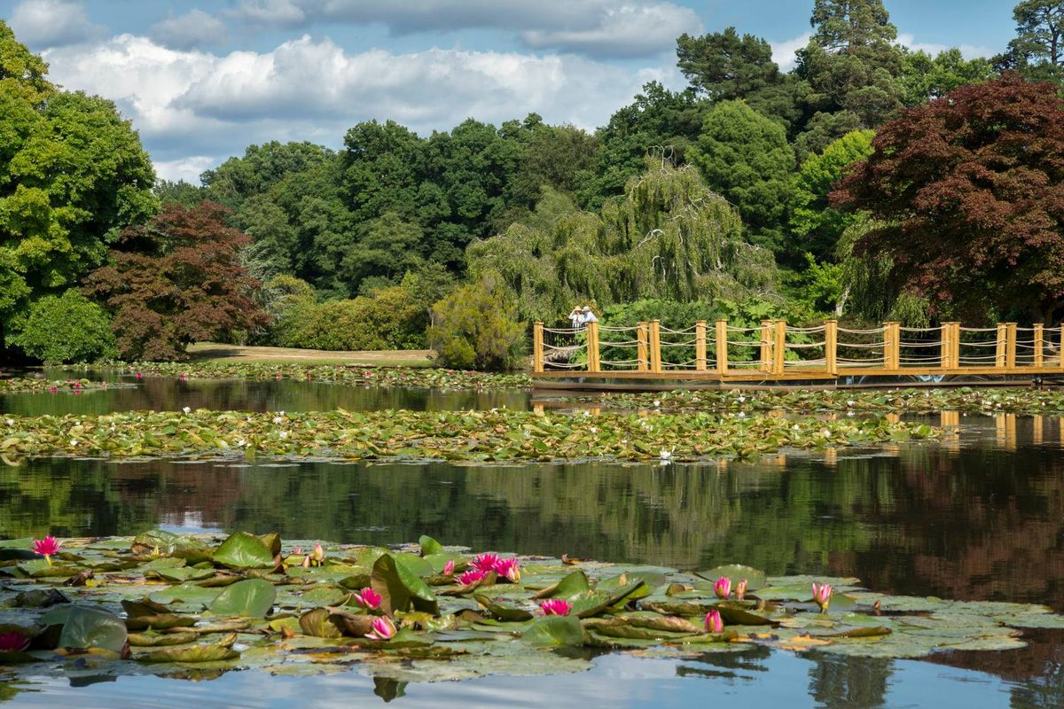 Lakes and Lilies Festival: Watercolour Workshop at Sheffield Park and Garden 