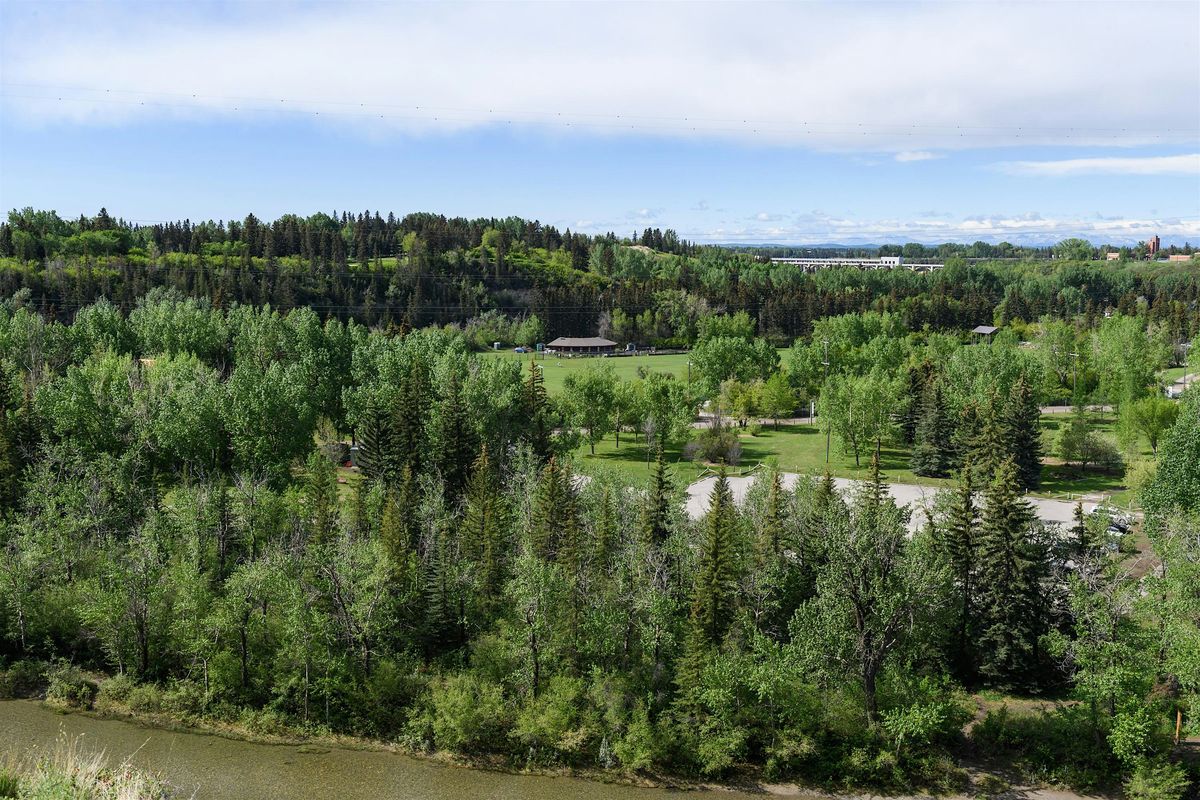 YYC Trees: Baker Park, Tree History Guided Walk