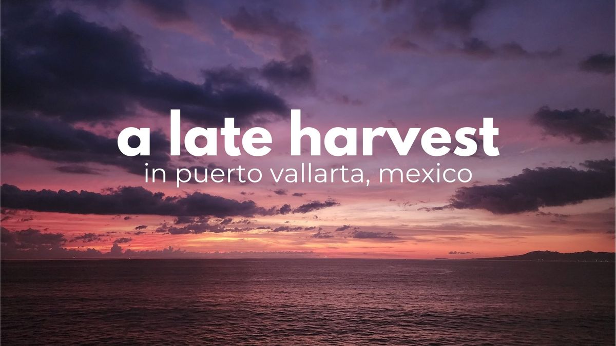 A Late Harvest Getaway in Puerto Vallarta