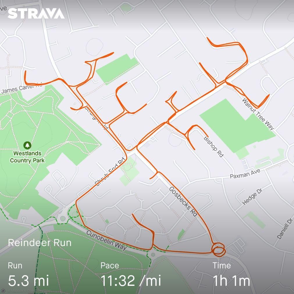 Pub Run! Xmas Reindeer edition (5+ miles) social pace