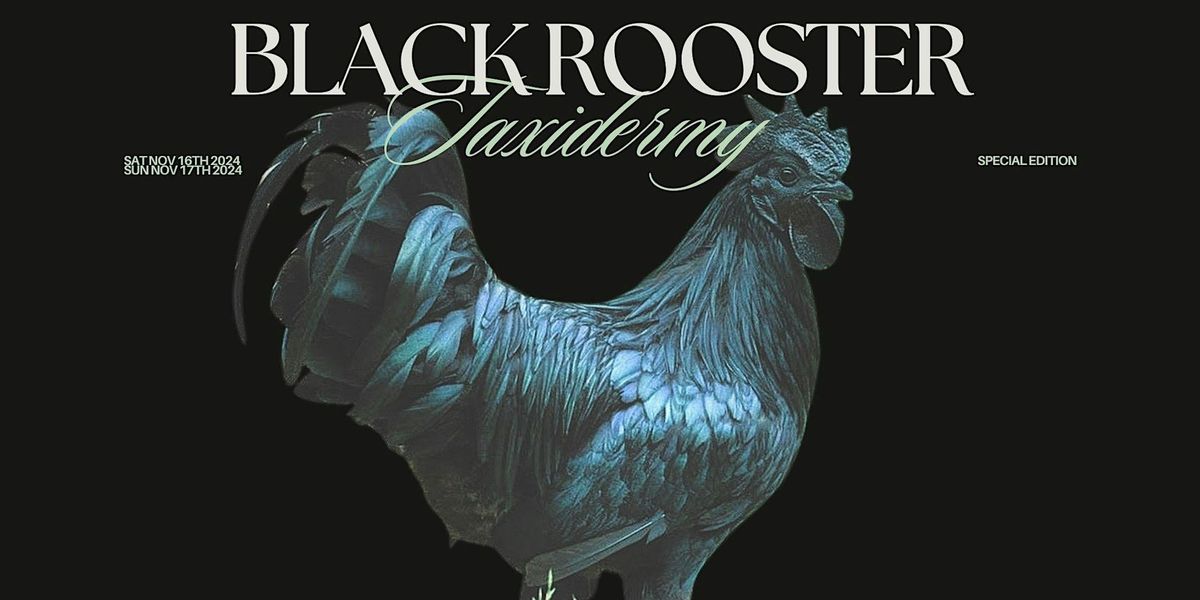 Special Edition: Black Rooster Taxidermy Workshop (2 Days)