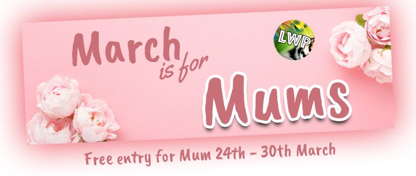 March is for Mums