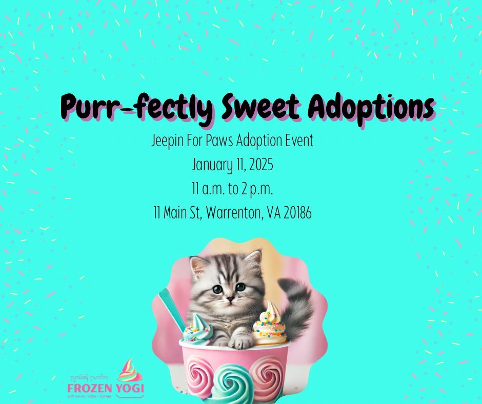 Purr-fectly Sweet Adoptions