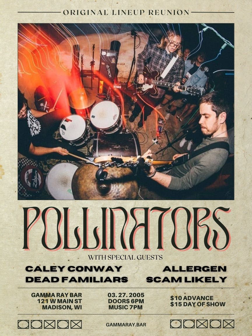 Pollinators original lineup reunion, Caley Conway, Dead Familiars, Allergen, Scam Likely