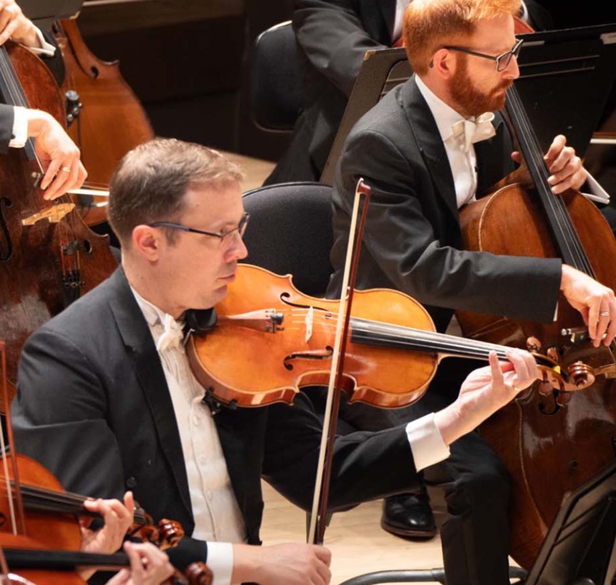 North Carolina Symphony: A Little Night Music