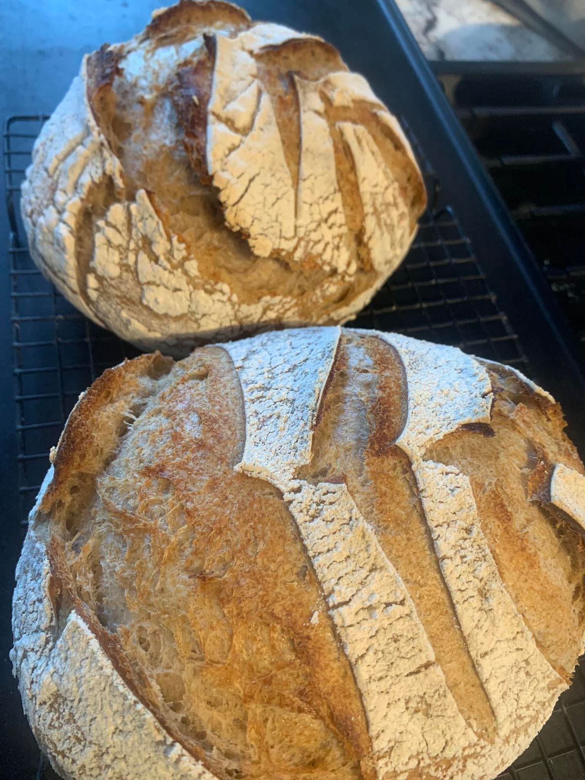 Sourdough 101