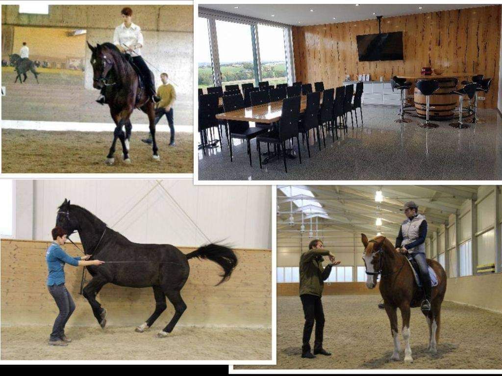 Reiten in Resonanz auf Grundlage v. Biomechanik\/Bewegungsanalyse mit Matthias Einzinger