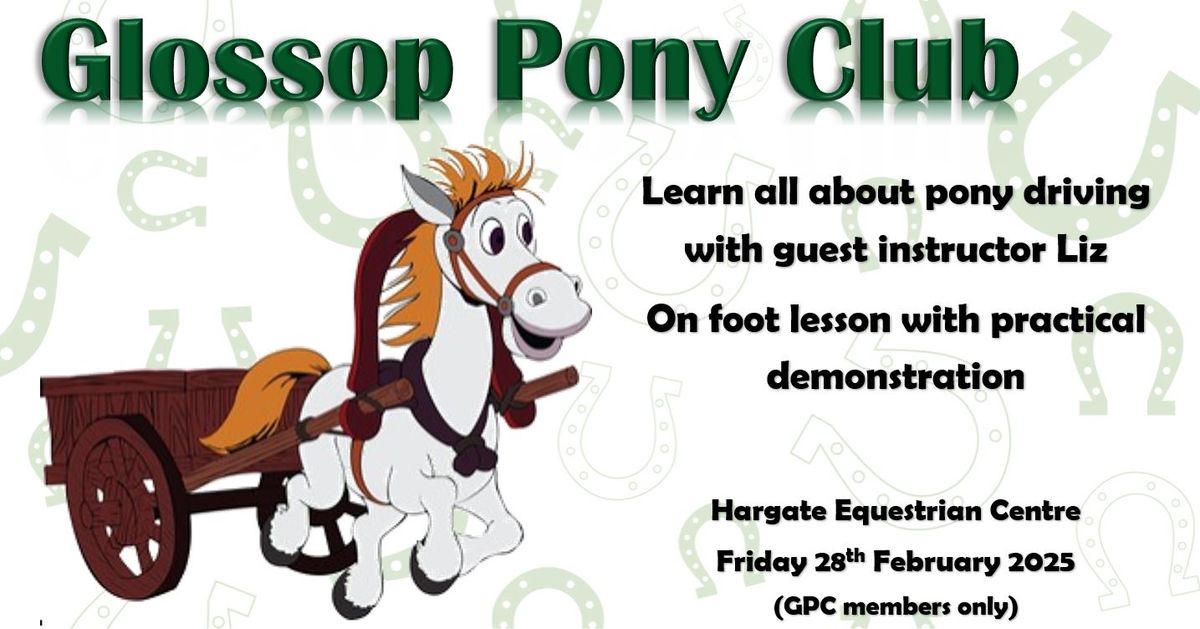 On Foot Practical Lesson - All about Pony Driving