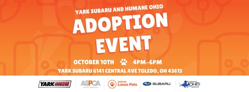 Subaru Loves Pets Adoption Event