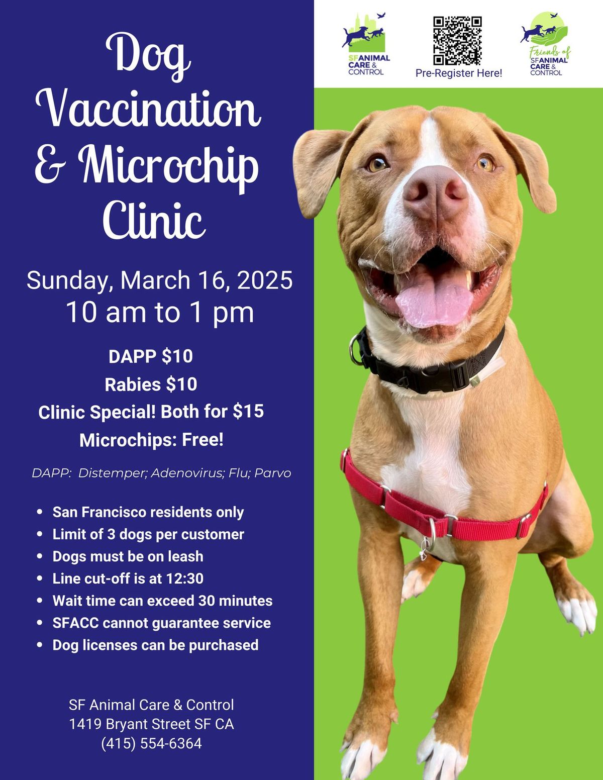 Dog Vaccination & Microchip Clinic