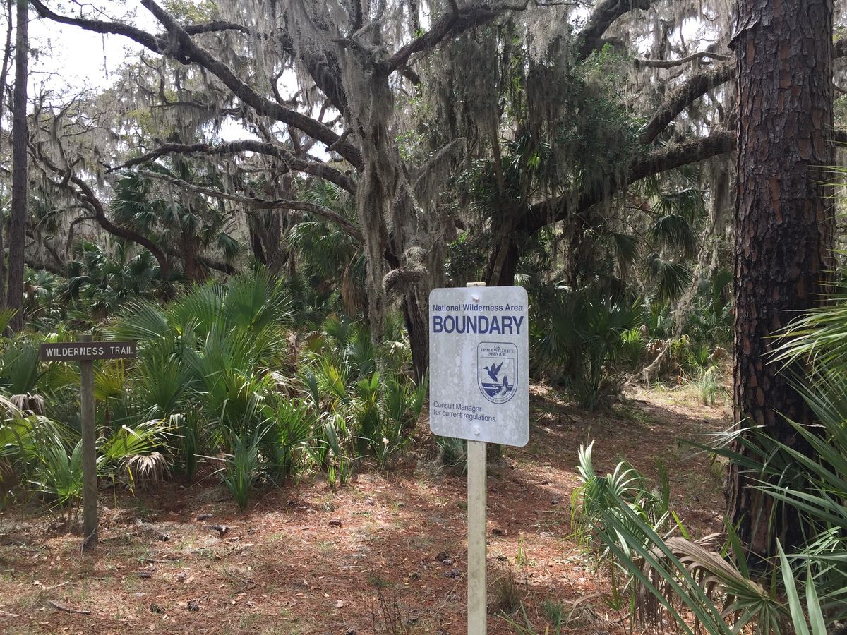 Naturalist 101 Lecture: The Treasures of Blackbeard Island