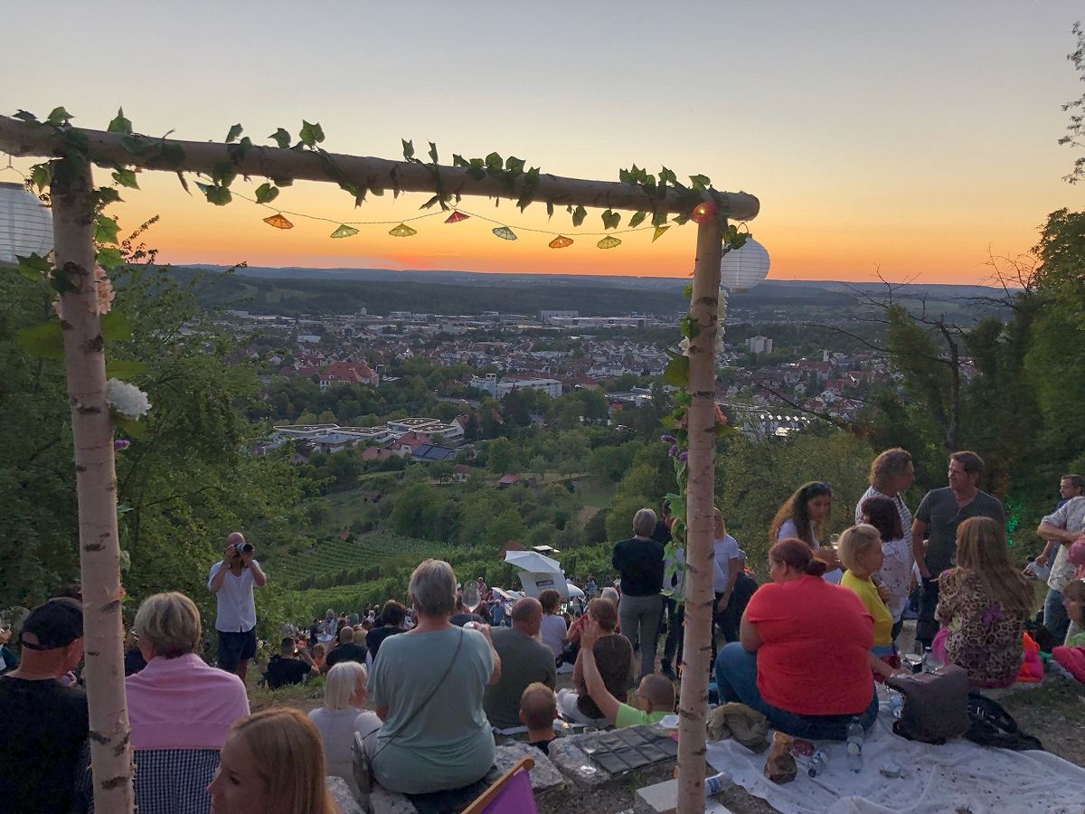 Sommerabend im Weinberg