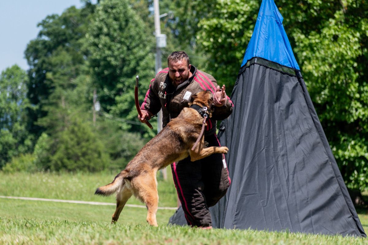 Trained Wright K9 WDA Trial