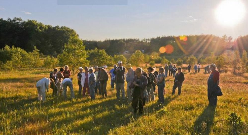 Prairie Volunteer Workday: Newaygo Prairie Restoration