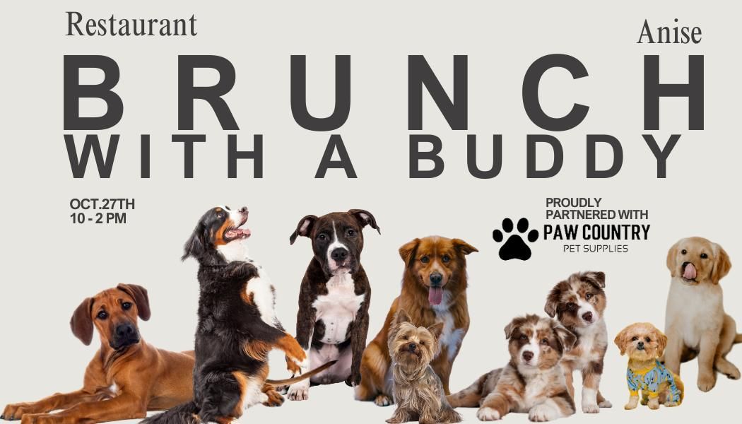 Brunch with Your Buddy: A Tail-Wagging Good Time!