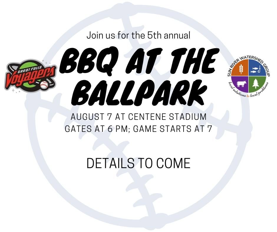 SRWG BBQ at the Ballpark