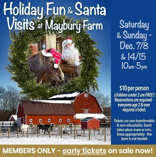 Holiday Fun & Santa Visits at Maybury Farm