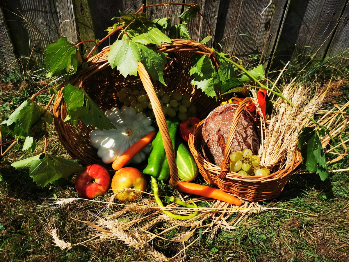 Erntedankfest & Herbstmarkt am Finsterhof