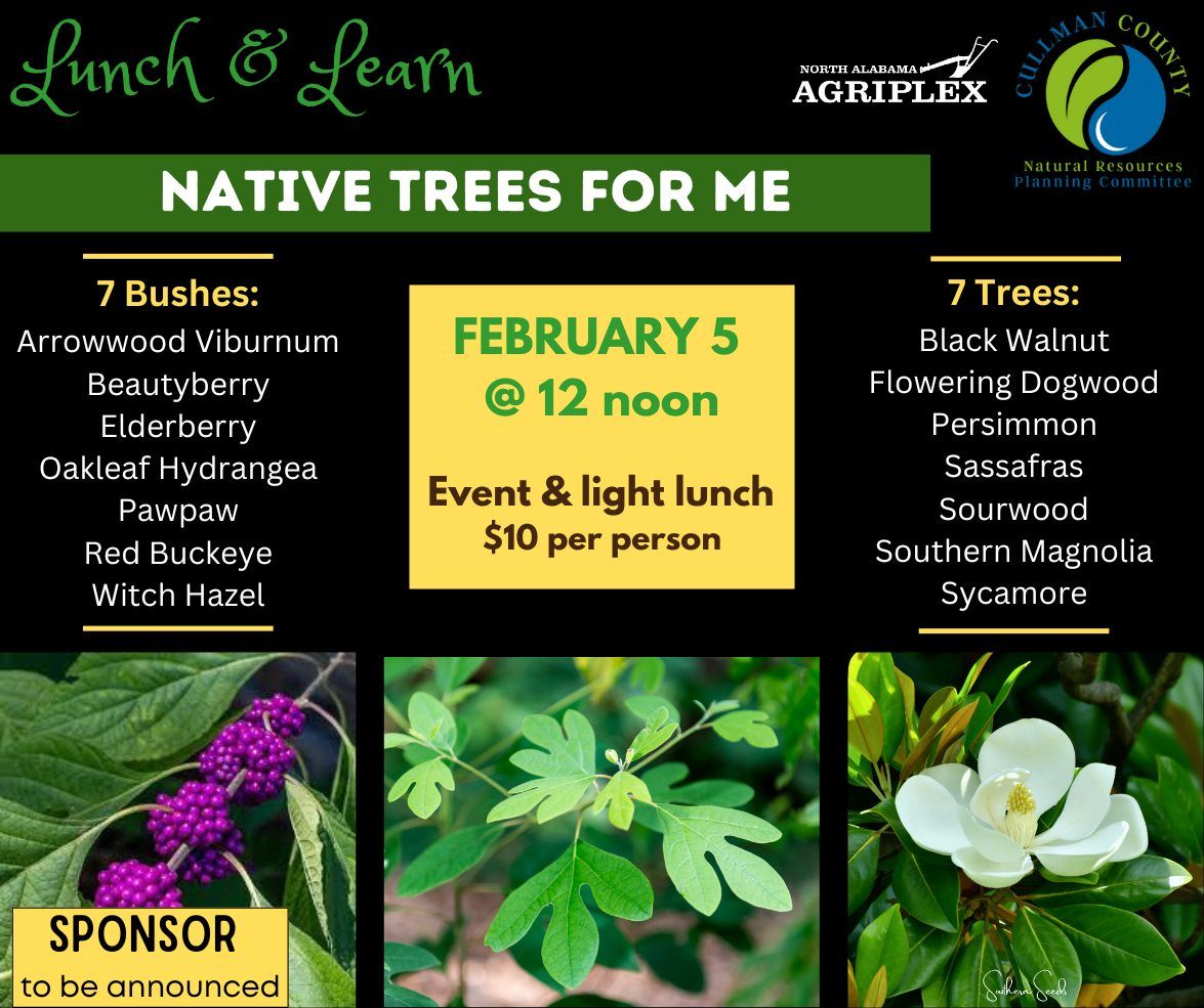 Lunch & Learn: Native Trees for Me