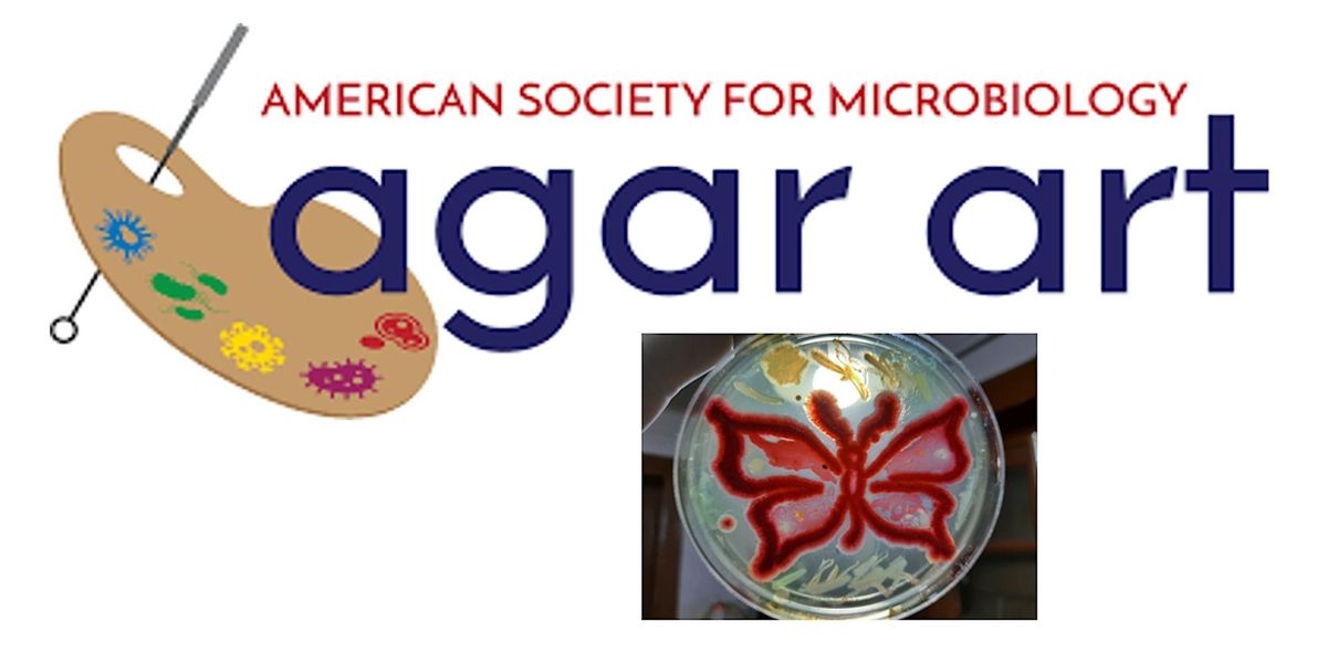 Agar Art Workshop