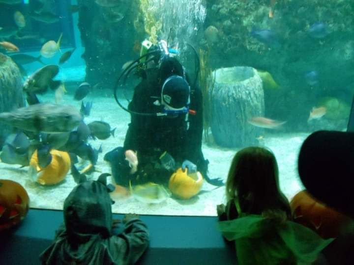 Underwater Pumpkin Carving and Costume Contest