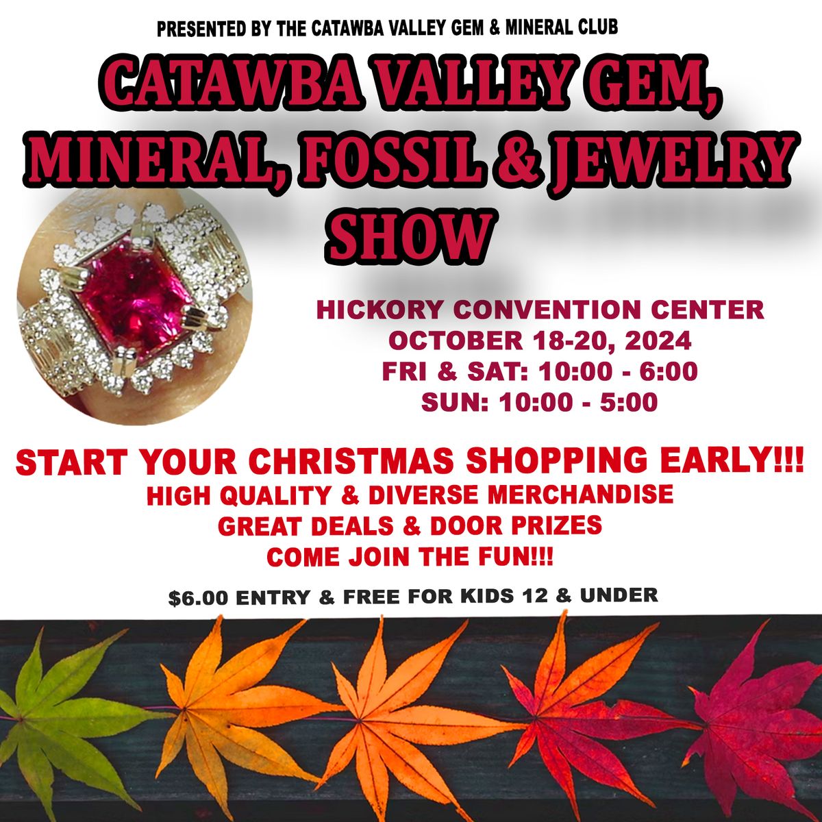 Catawba Valley Gem, Mineral, Fossil & Jewelry Show