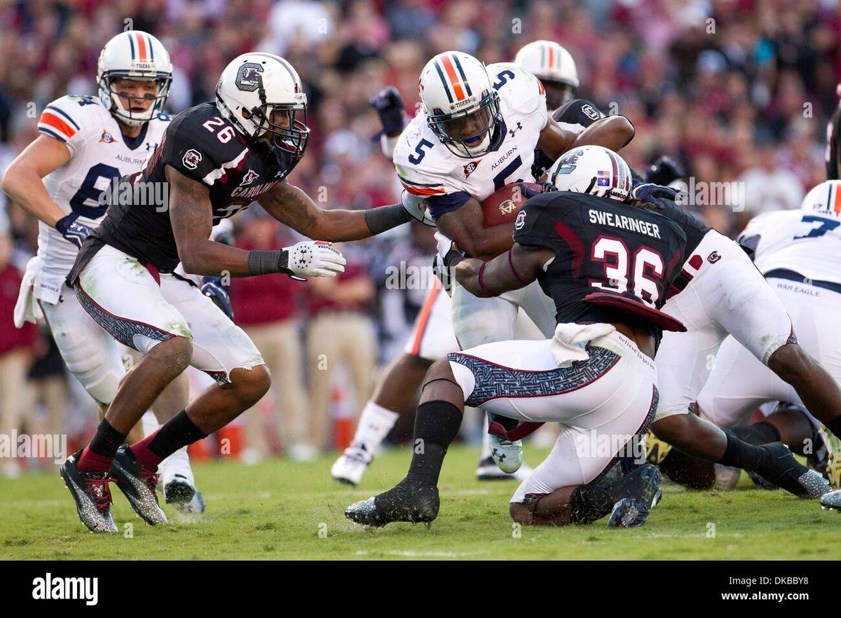 South Carolina Gamecocks vs. Auburn Tigers