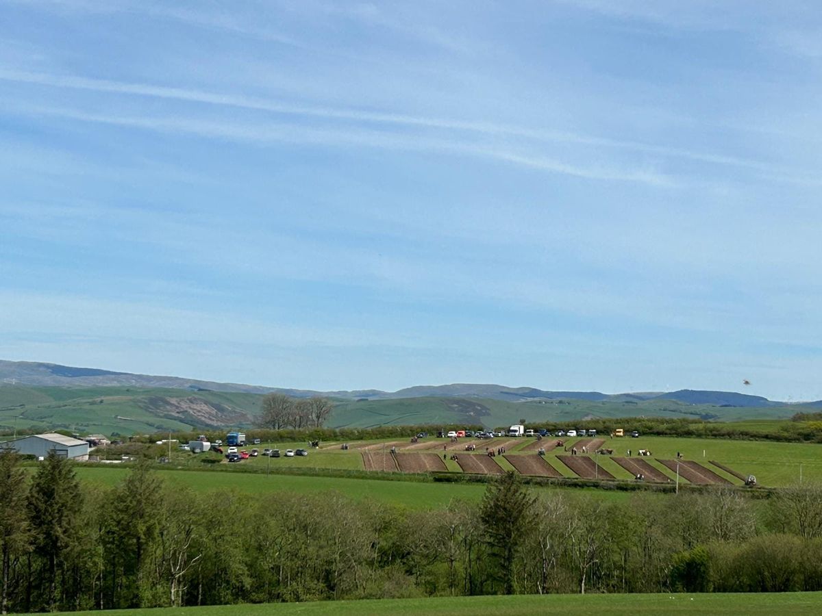 Cystadleuaeth Aredig a Phlygu | Ploughing and Hedgelaying Match