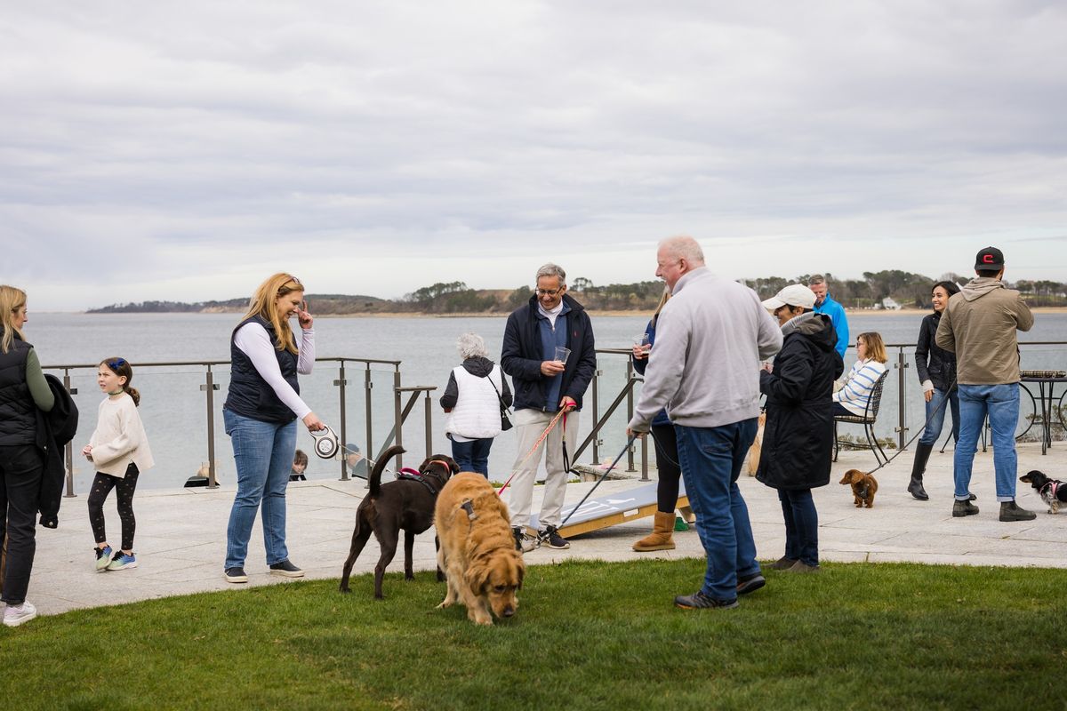 Yappy Hour: pups & pints