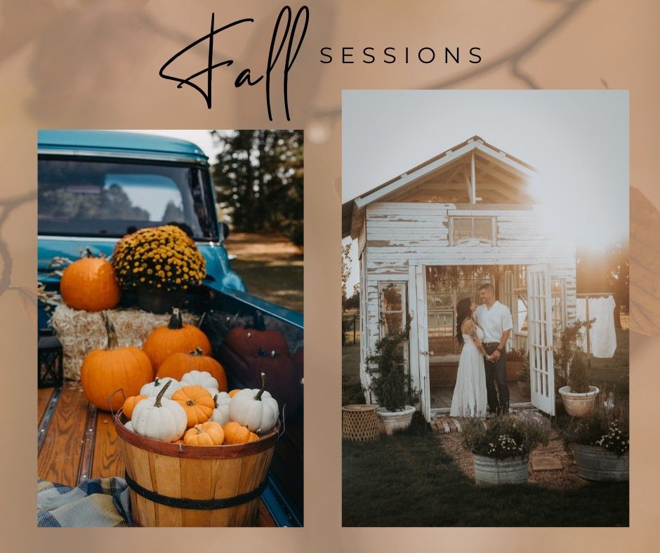 Fall Mini Sessions