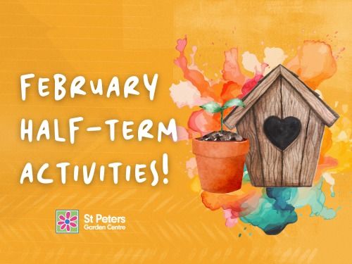 February Half-Term Activities