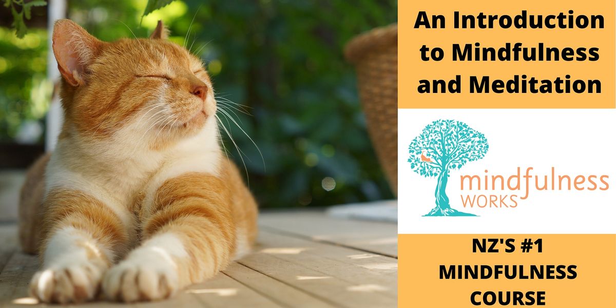 An Introduction to Mindfulness and Meditation 4-Week Course \u2014 Te Atatu