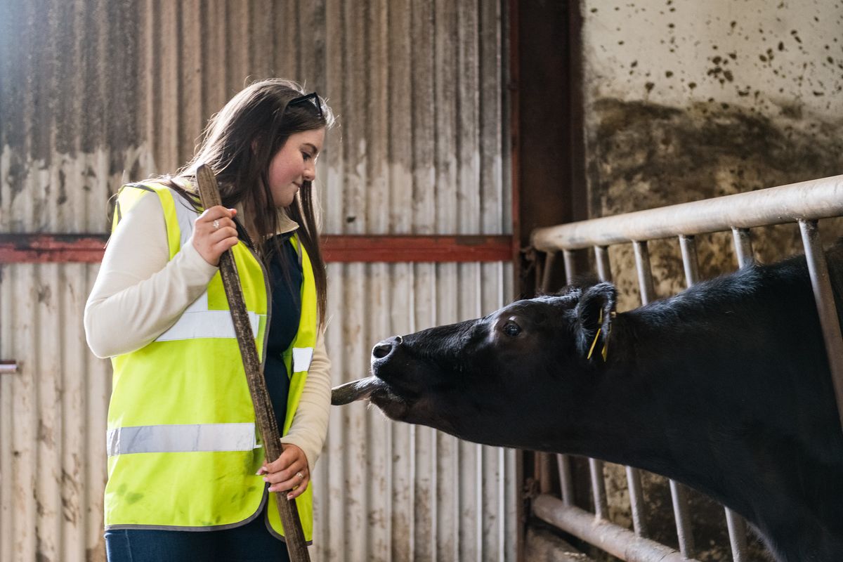 ATU Mountbellew Open Day