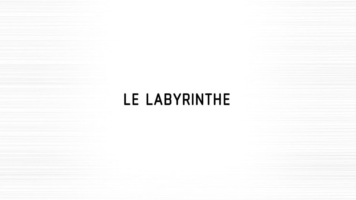 Projection du documentaire Le Labyrinthe