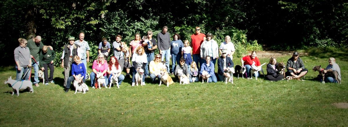 Buckeye Bull Terrier Club Picnic