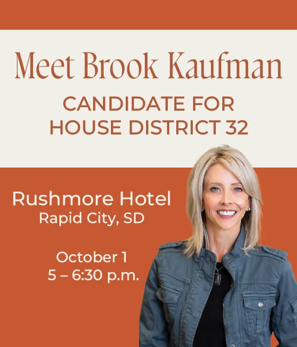 Meet Brook Kaufman, Republican Candidate for House District 32 