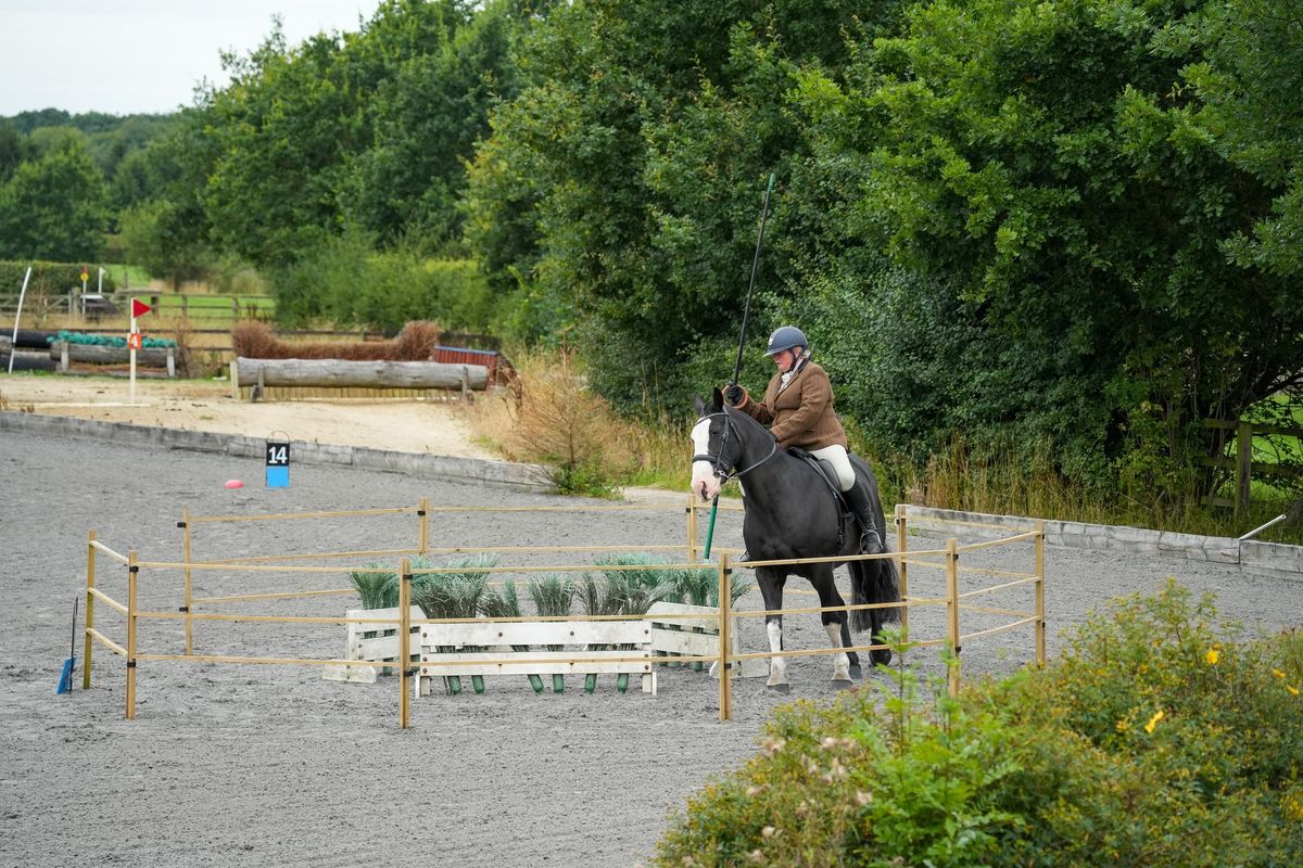 Working Equitation Unaffiliated competition @ Bury Farm