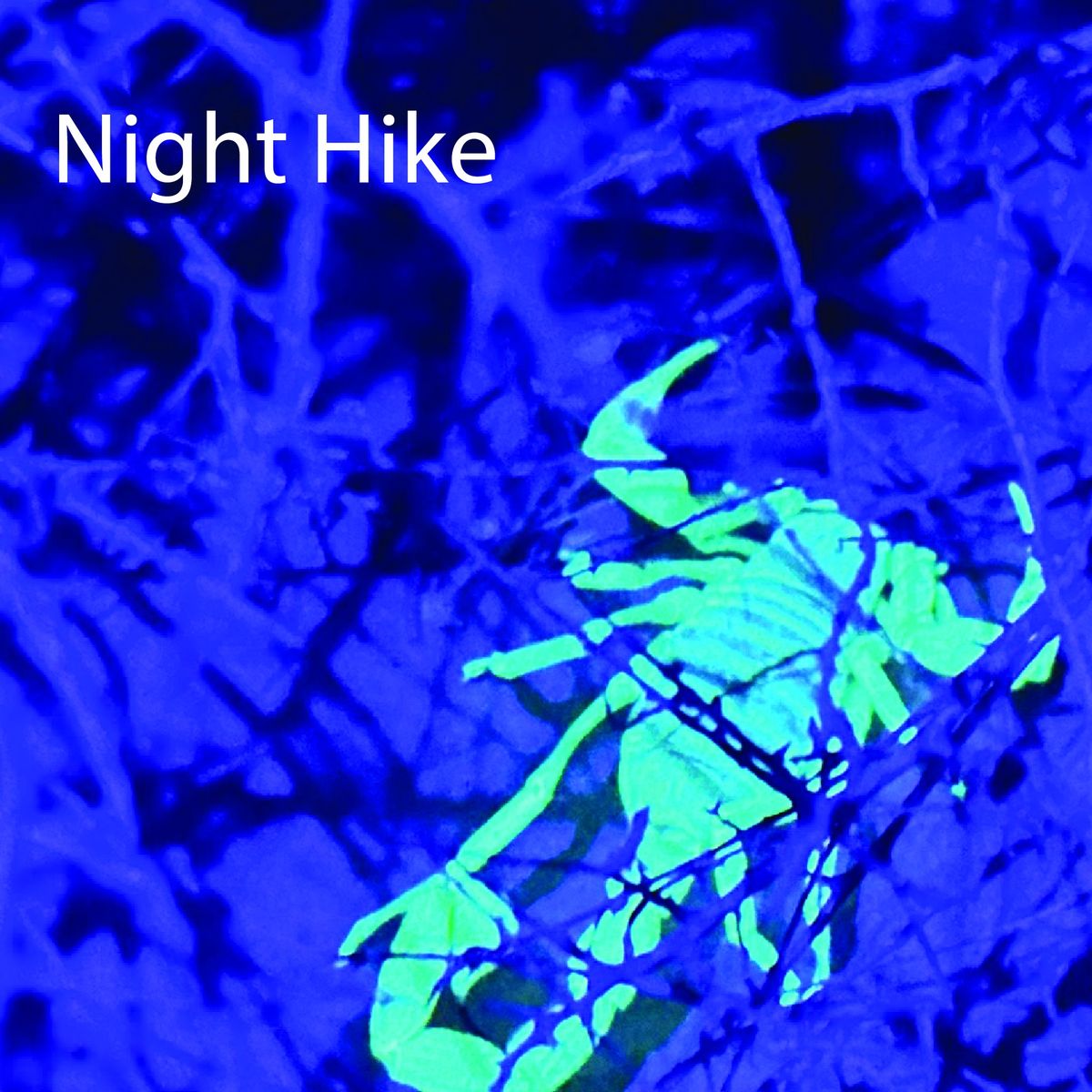 Night Hike (Reservation Required)