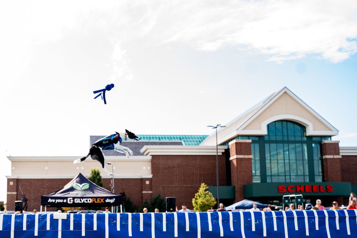 DockDogs\u00ae at Scheels Hunting Expo | Fargo, ND