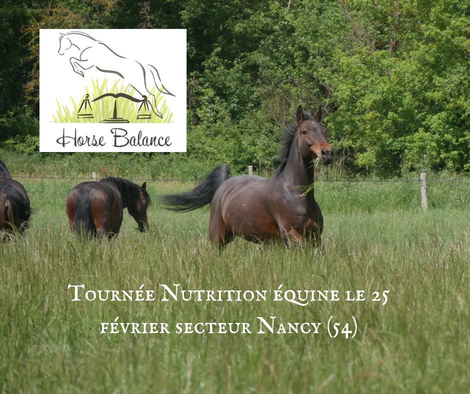 Tourn\u00e9e nutrition \u00e9quine secteur Nancy