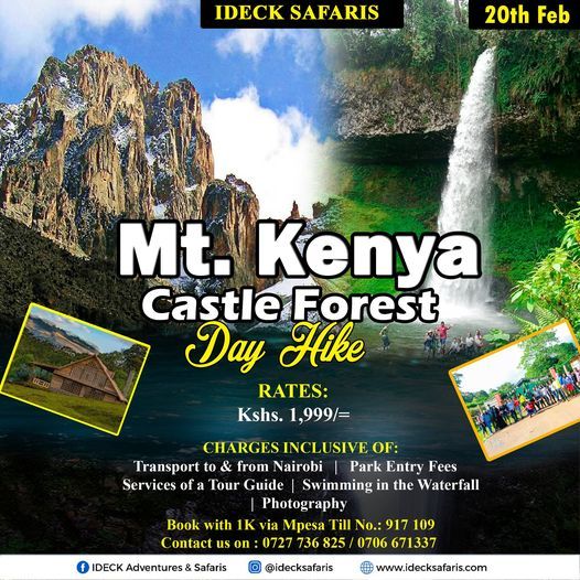 Mt. Kenya Castle Forest Hike