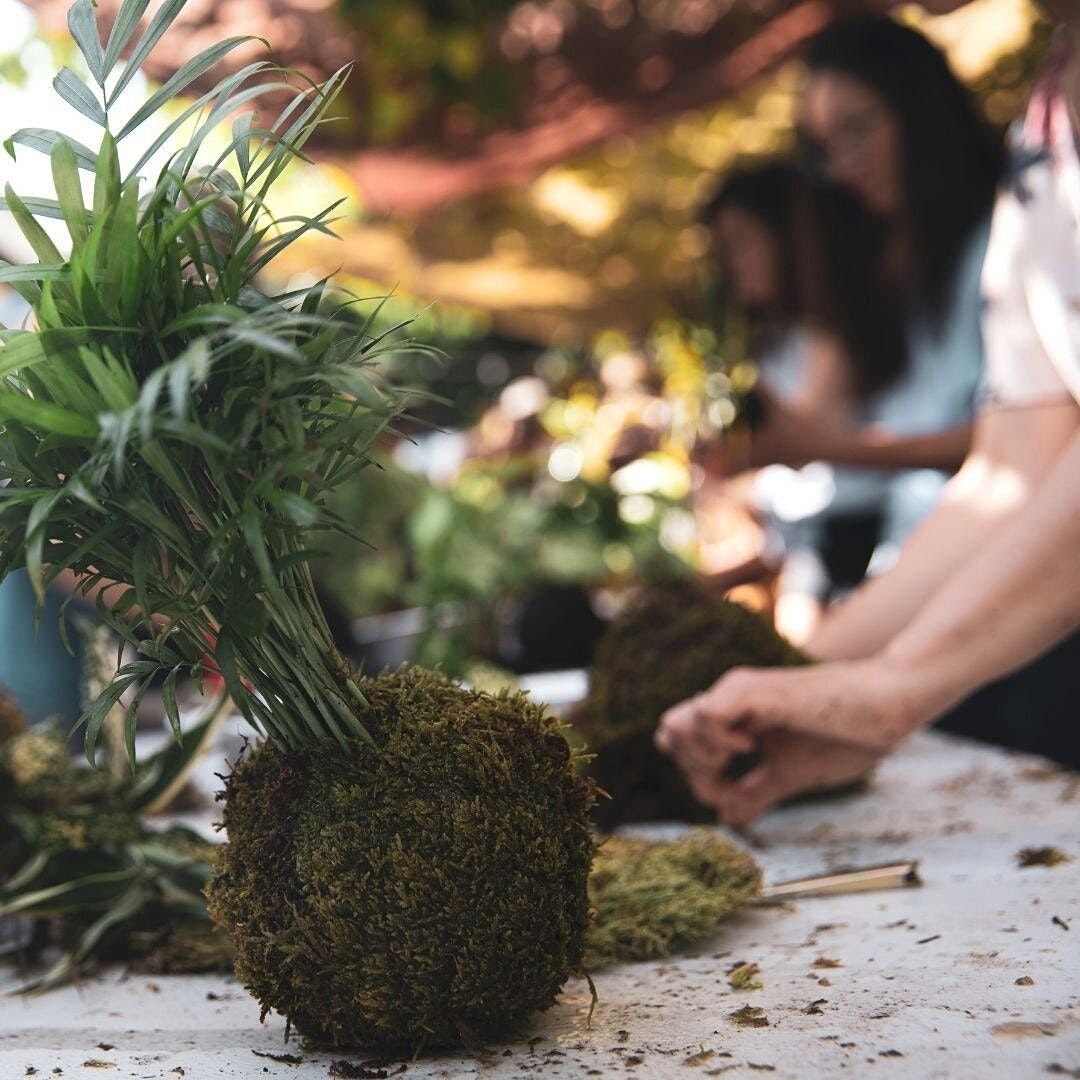 Kokedama Planter Workshop @ Black Sugar Caffe, Black Sugar Caffe