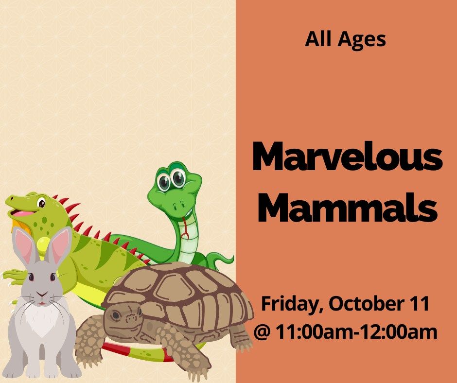 Marvelous Mammals