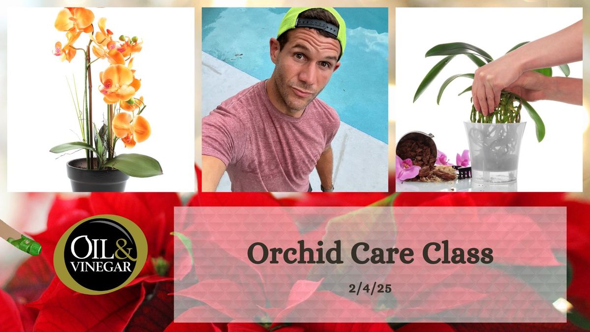 Orchids Unveiled: A Hands-On Class with Stephen Louis