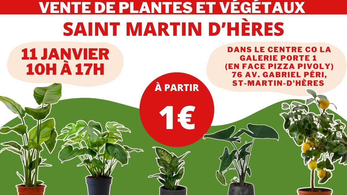 SAINT MARTIN D'H\u00c8RES - V\u00e9g\u00e9taux et Plantes \u00e0 partir de 1\u20ac by Plantes Addict