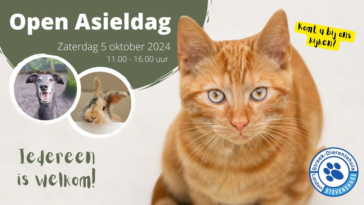 Open Asieldag 2024