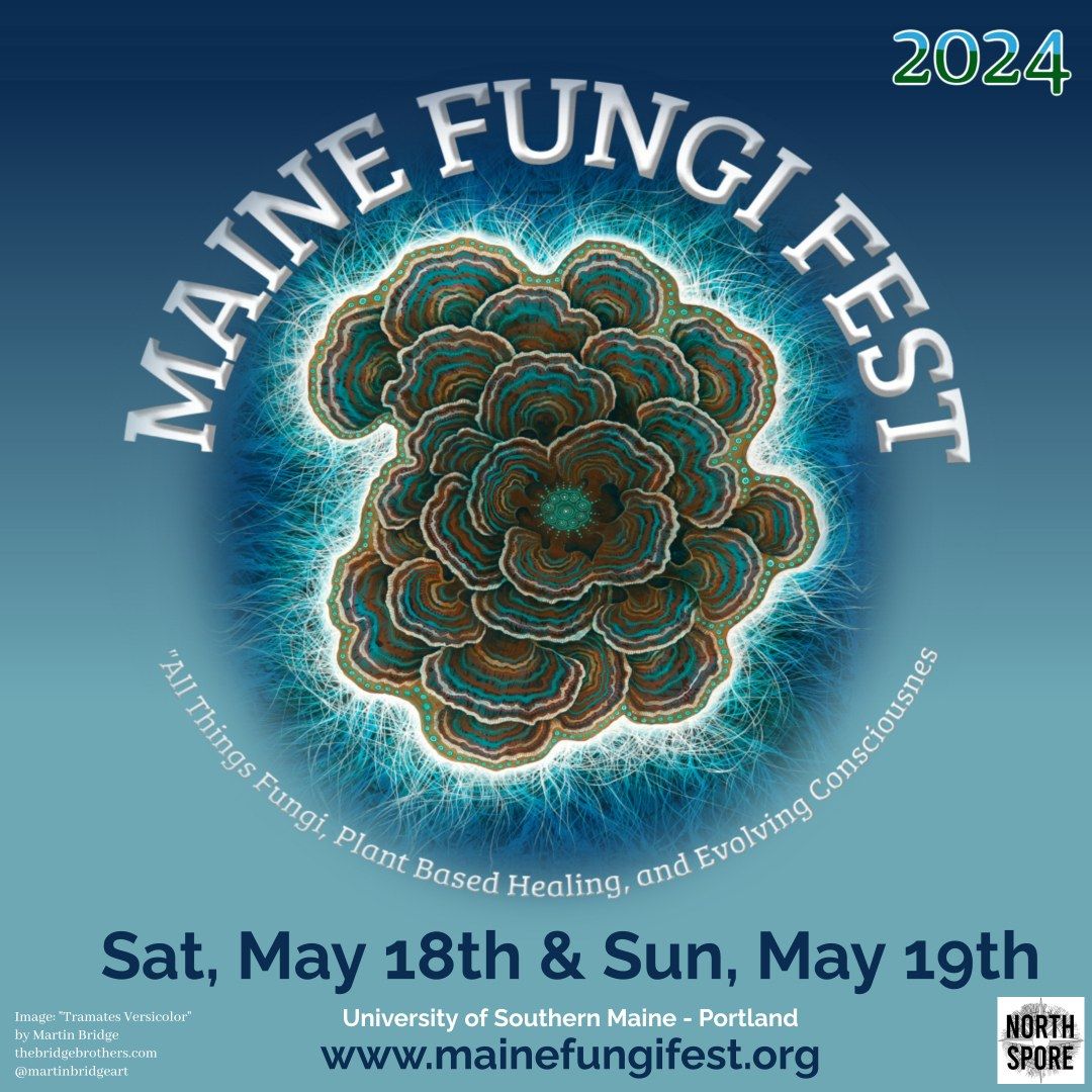 Hannah Banana & Together We Heal - Maine Fungi Fest