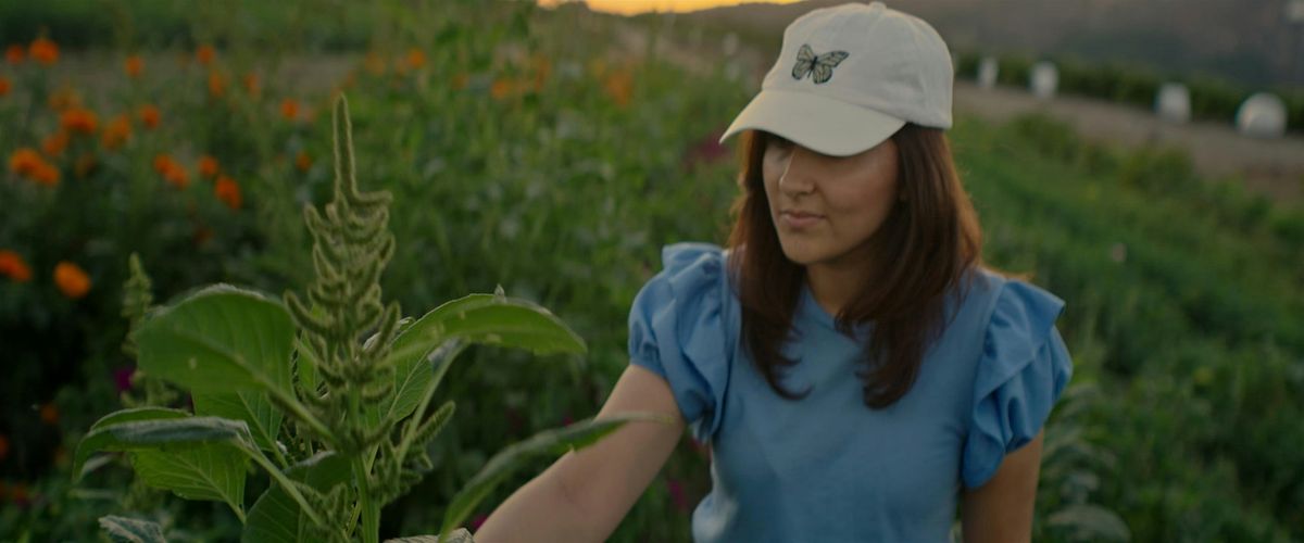 Music Video Premiere Party!  A Story of Hope: Es As\u00ed by Anessa