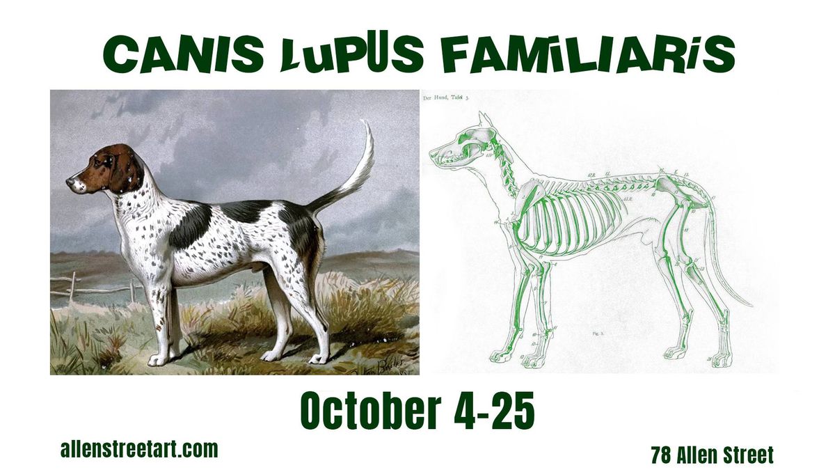 Canis Lupus Familiaris - Open Call and Group Exhibition